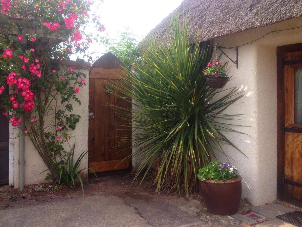 The Nest - Thatched Seaside Country Cottage For Two Stokeinteignhead Extérieur photo