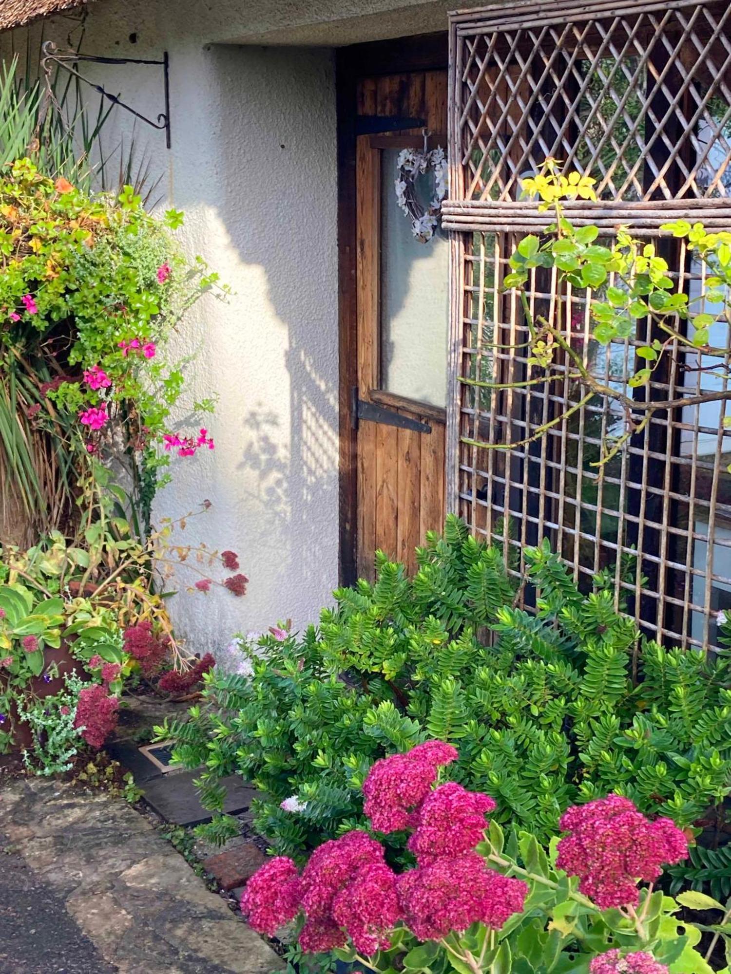 The Nest - Thatched Seaside Country Cottage For Two Stokeinteignhead Extérieur photo