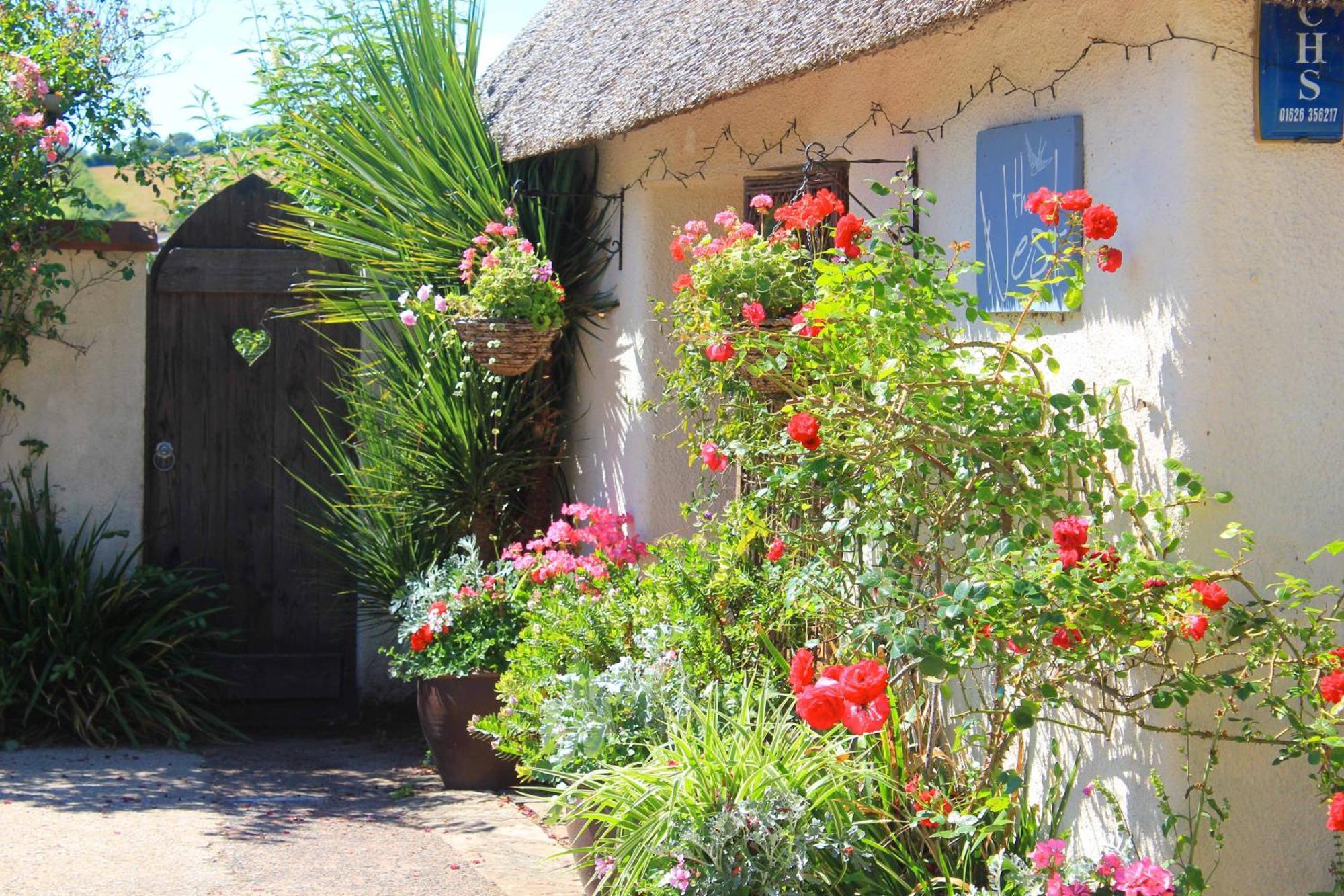 The Nest - Thatched Seaside Country Cottage For Two Stokeinteignhead Extérieur photo